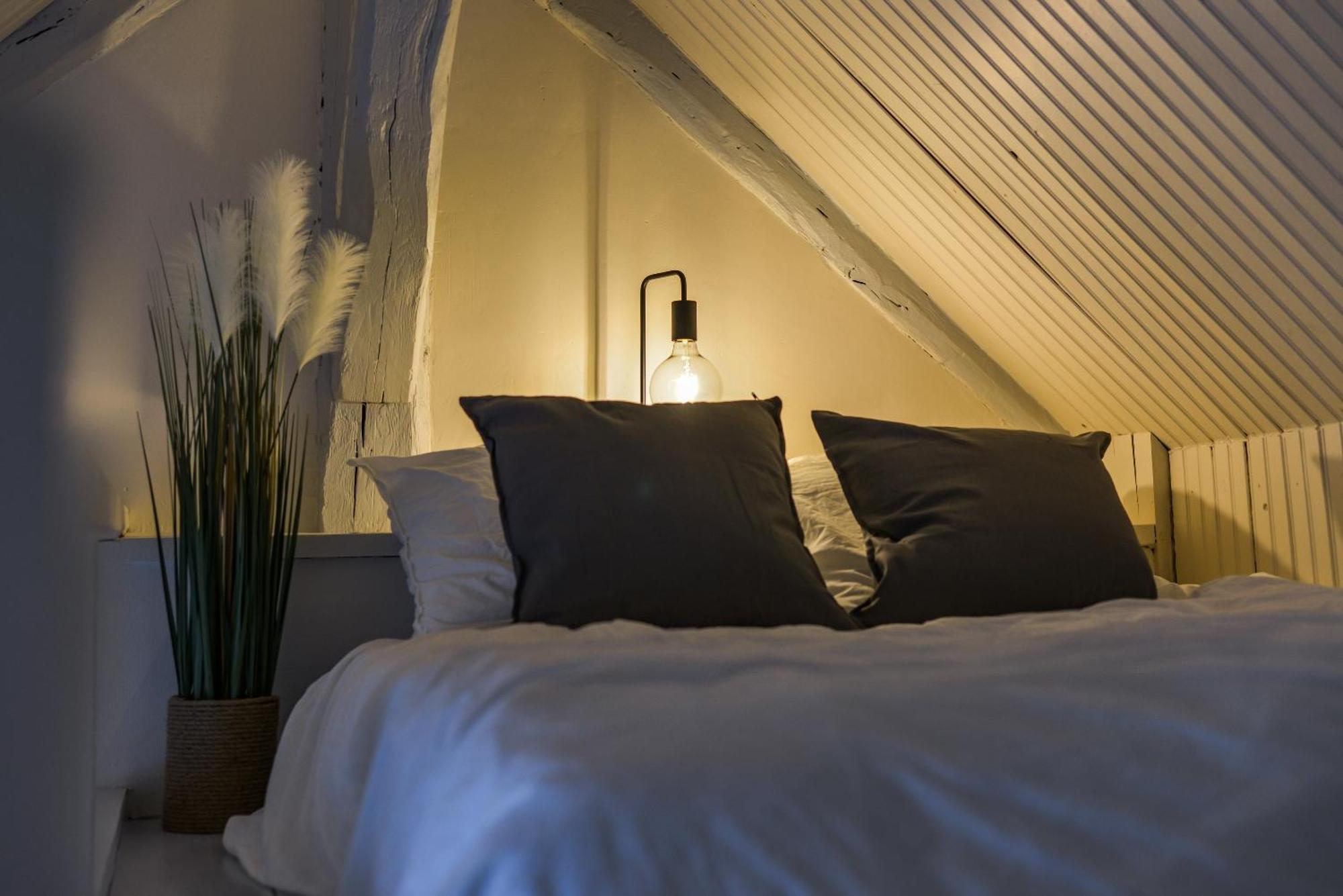 Appartement Le Saint-Martin - Hypercentre - Netflix à Tours Extérieur photo